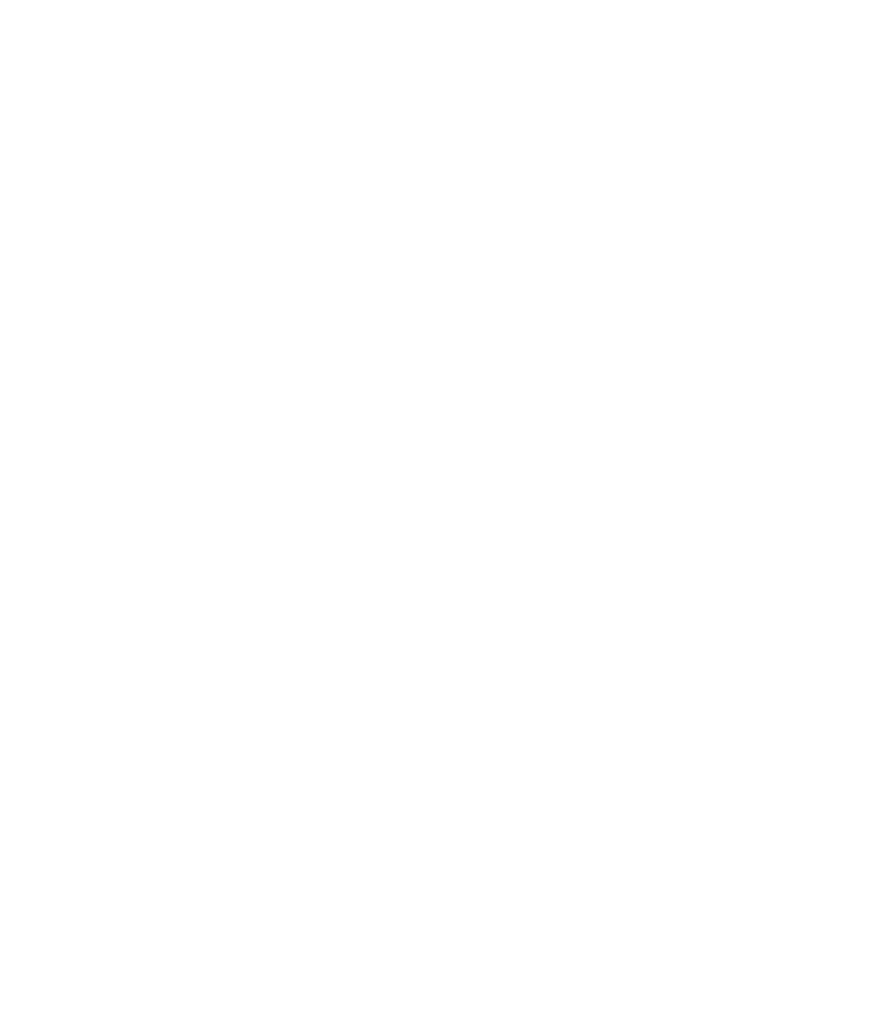 NYL Logo KO White NYL Logo KO White